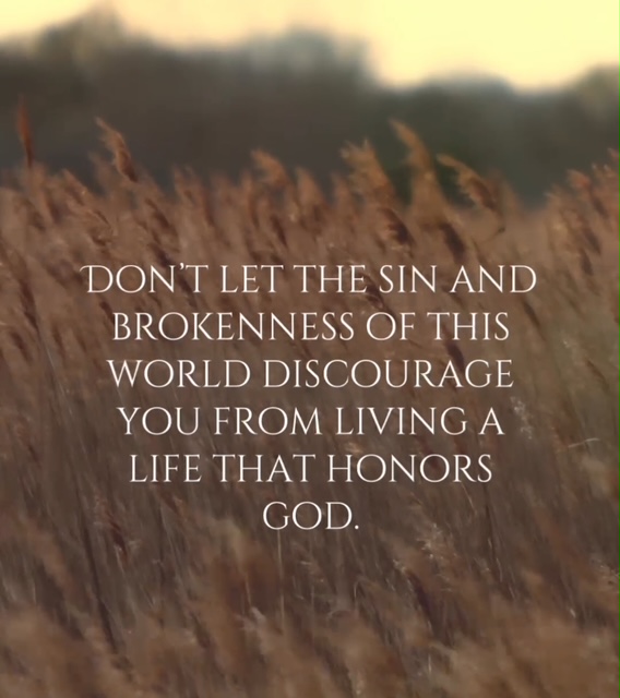 Don't Let the Sin and Brokenness of This World Keep You From Living a Life That Honors God.